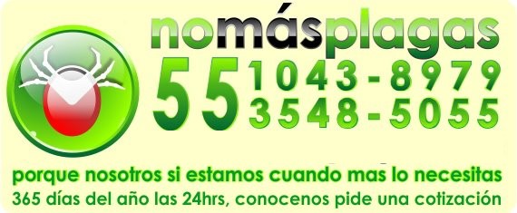 nomasplagas
